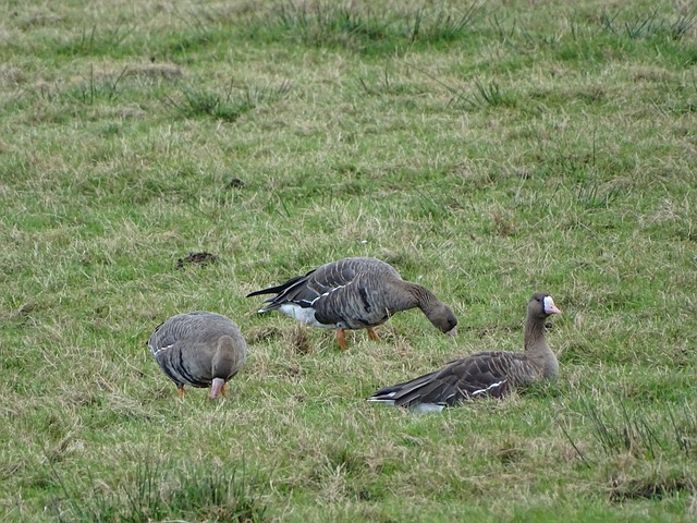 这位才华横 这位才华横