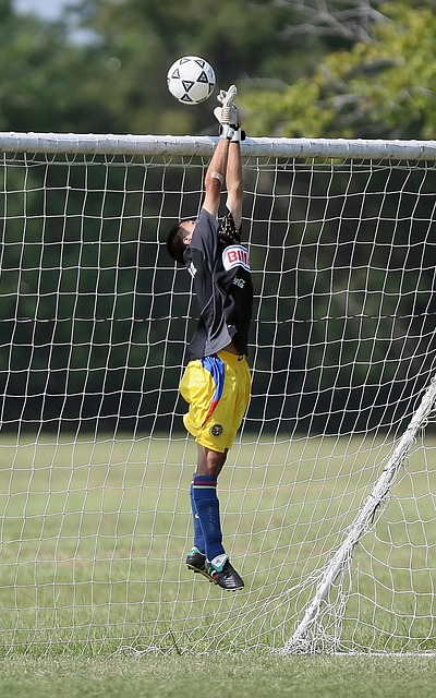 让更多球迷 让更多球迷