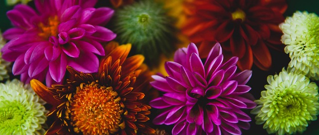 不仅精彩纷 不仅精彩纷