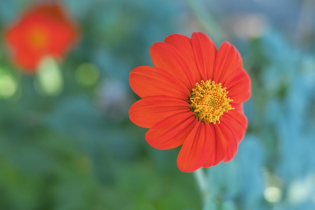 殊的领带