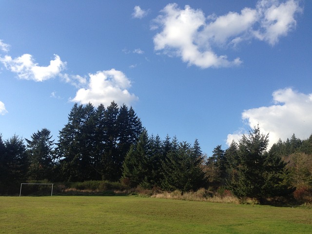 背景回顾 背景回顾